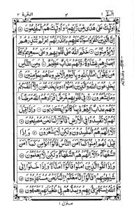 হাফেজী কোরআন (বুতাম কভার)