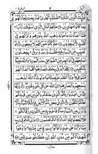 হাফেজী কোরআন (বুতাম কভার)